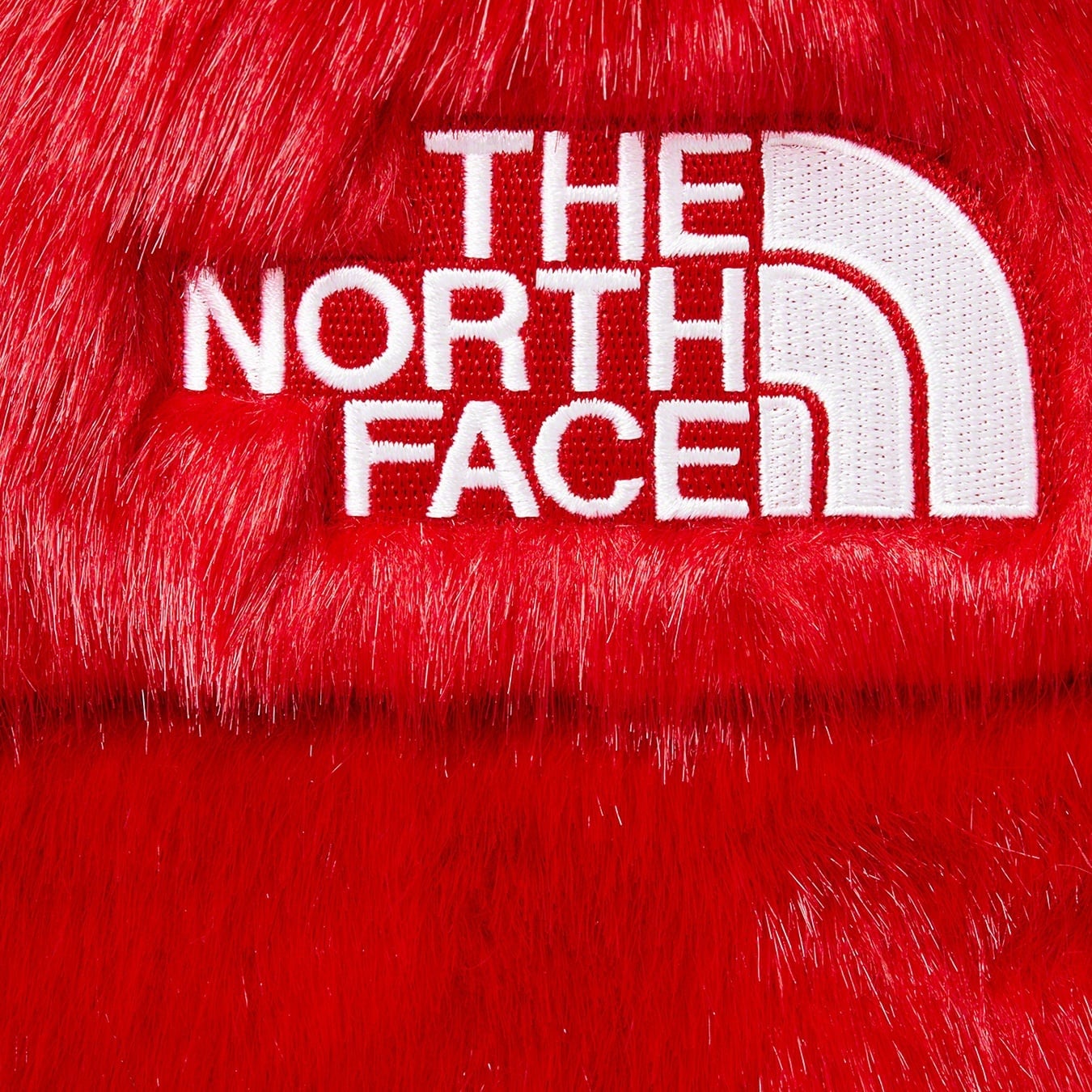 Supreme®/The North Face® Faux Fur Nuptse Jacket view 5